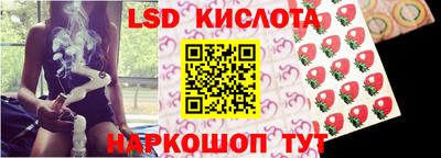гидропоника Славянск-на-Кубани