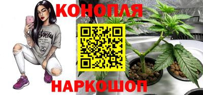 прущая мука Сланцы