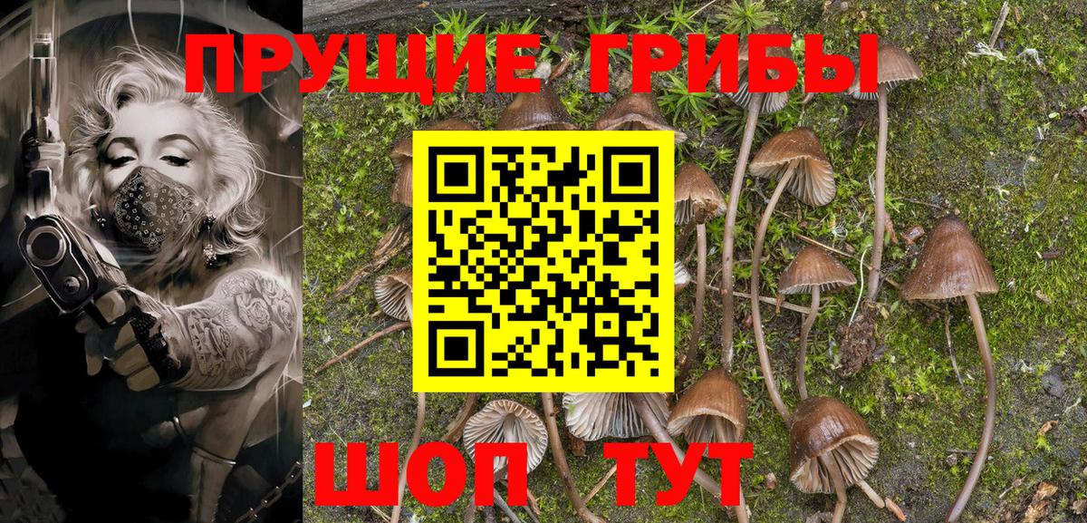 Псилоцибиновые грибы Psilocybine cubensis Пыть-Ях