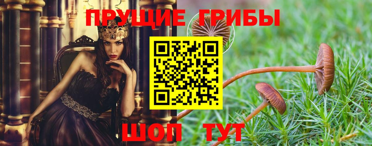 Галлюциногенные грибы Magic Shrooms  Псилоцибиновые грибы GOLDEN TEACHER  Вход с VPN  Пыть-Ях 